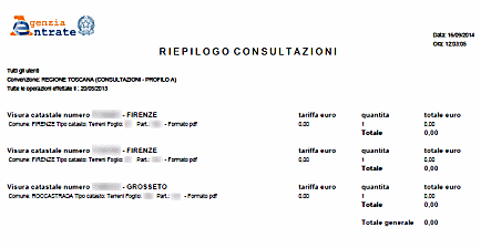 Schermo per riepilogo consultazioni  stampa in formato . PDF